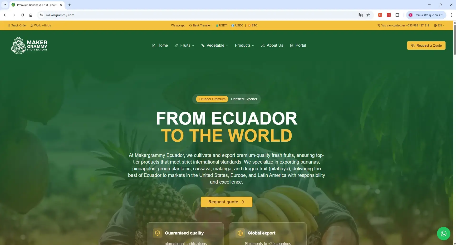 Creación de Sitios Web Personalizados